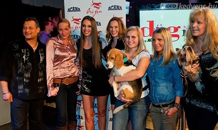 11592_videokedvenc_ntdmdonto_440x264.jpg
